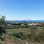 V022 - Els Olivars *